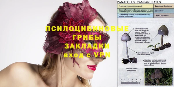 дживик Баксан