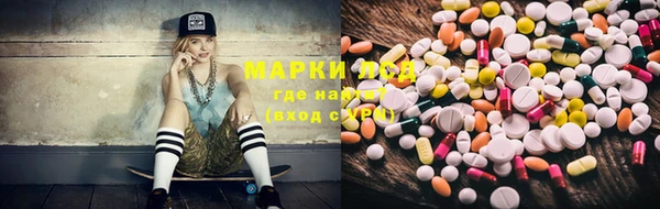 дживик Баксан