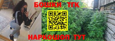 прущие грибы Кингисепп