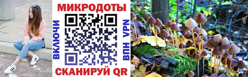Псилоцибиновые грибы Psilocybe  Кушва 