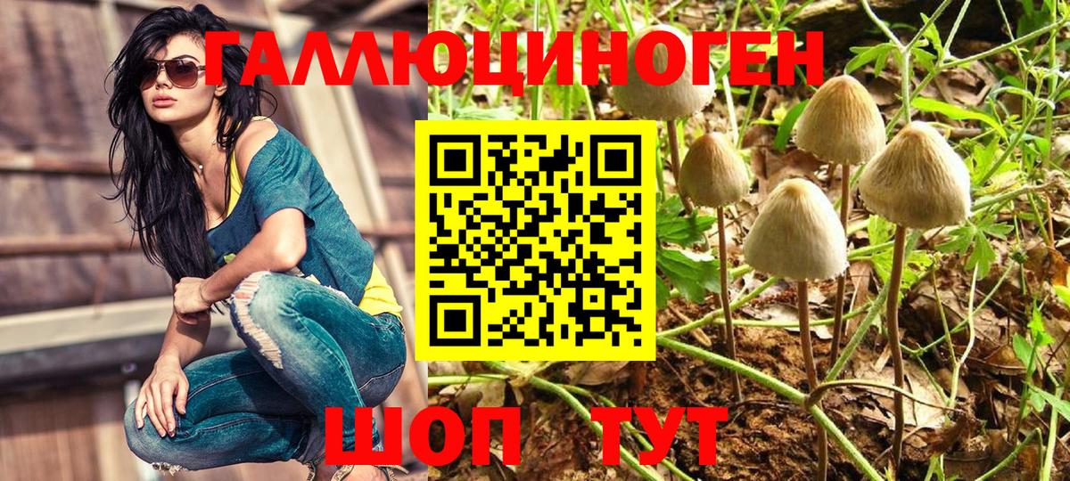 Галлюциногенные грибы ЛСД  Псилоцибиновые грибы Psilocybine cubensis  Вход с VPN  Кушва 